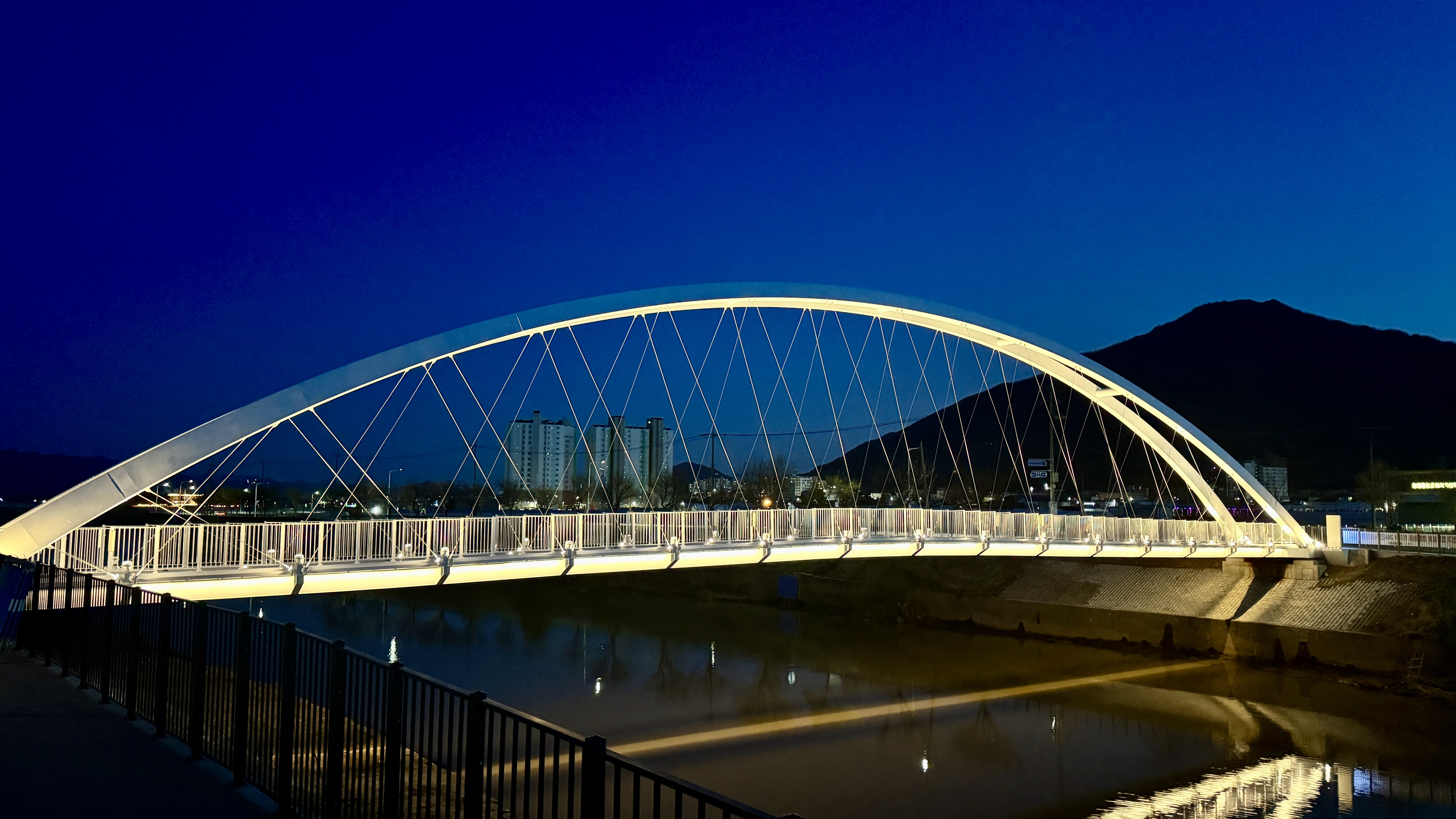 대교천인도교조명 (5).jpg