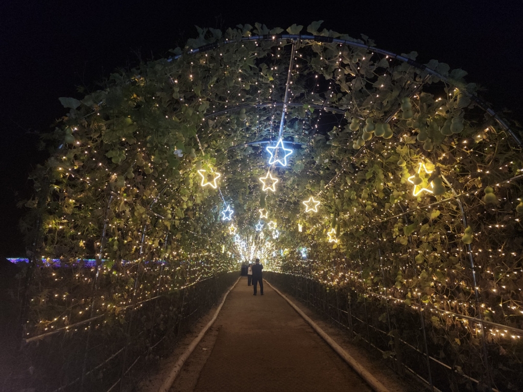 가을 꽃밭  LED경관조명 제작 납품